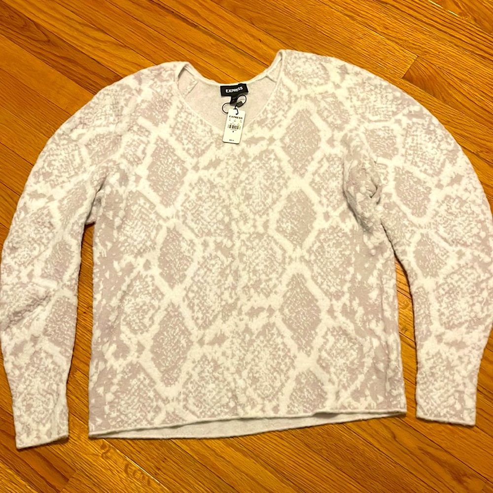 NWT Express sweater